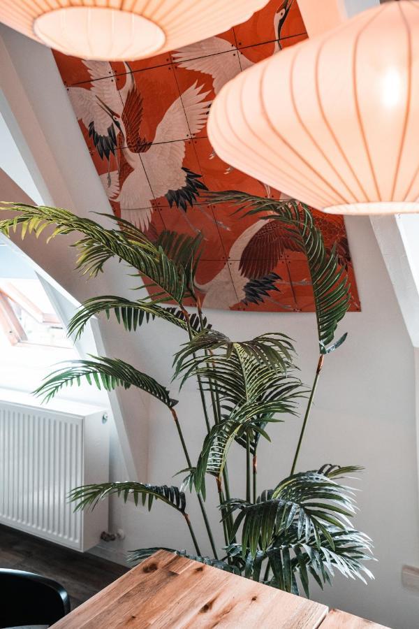 Ferienwohnung Casa Coral - A Hidden Gem For Families Groningen Exterior foto
